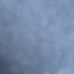 Meet your Posher, Jada